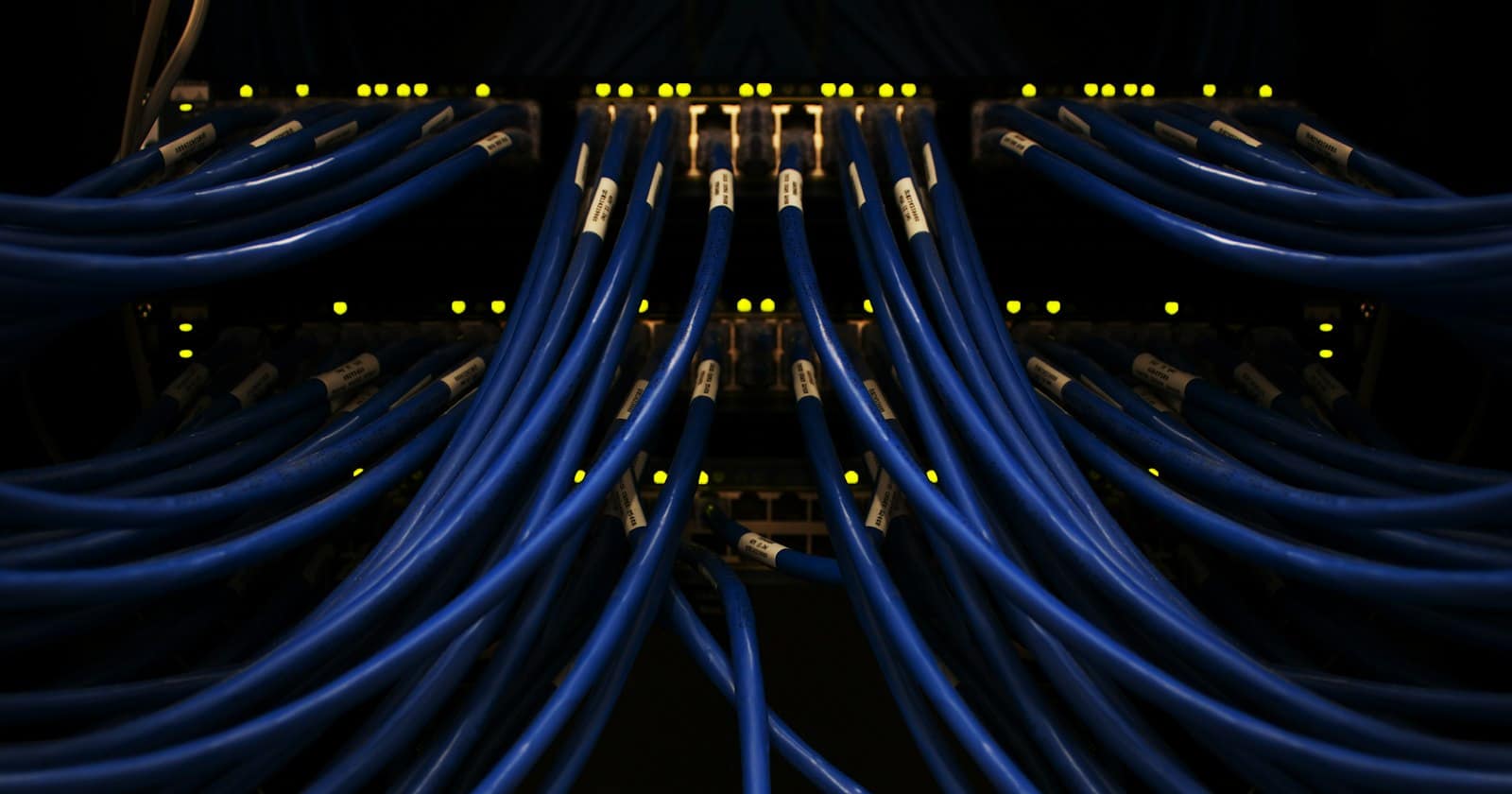 Network cables plugged into a patch panel