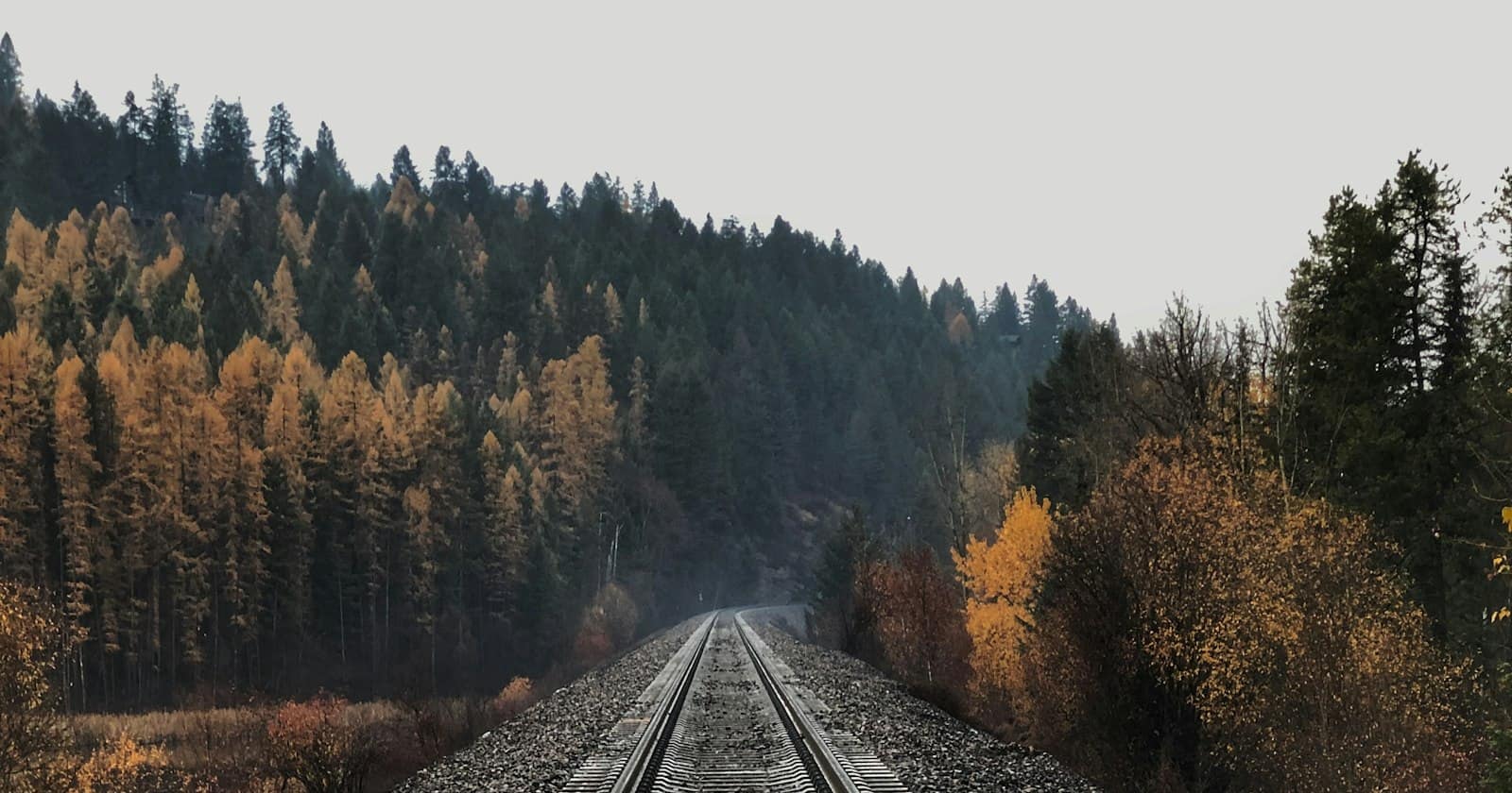 Parallel railway tracks running into the distance