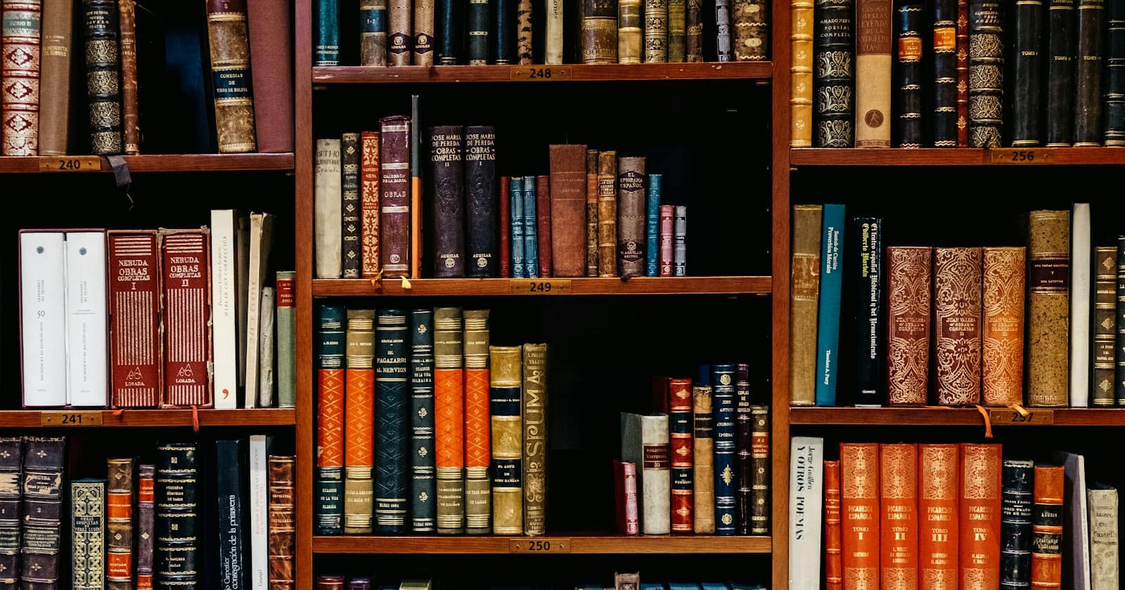Rows of books on library shelves